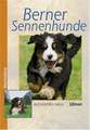 Berner Sennenhunde