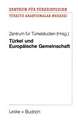 Türkei und Europäische Gemeinschaft: Eine Untersuchung zu positiven Aspekten eines potentiellen EG-Beitritts der Türkei für die Europäische Gemeinschaft