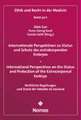 Internationale Perspektiven zu Status und Schutz des extrakorporalen Embryos - International Perspectives on the Status and Protection of the Extracorporeal Embryo