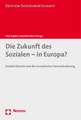 Die Zukunft Des Sozialen - In Europa?: Soziale Dienste Und Die Europaische Herausforderung