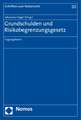 Grundschulden Und Risikobegrenzungsgesetz: Tagungsband