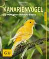 Kanarienvögel