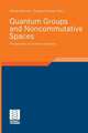 Quantum Groups and Noncommutative Spaces: Perspectives on Quantum Geometry