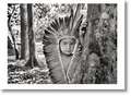 Salgado. Amazonia. Poster ‘Yawanawa Girl’