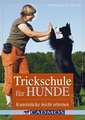 Trickschule für Hunde