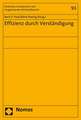 Effizienz Durch Verstandigung: Exemplarisch Dargestellt Anhand Des Einsatzes in Afg