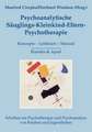 Psychoanalytische Säuglings-Kleinkind-Eltern-Psychotherapie