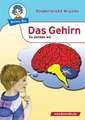 Gehirn