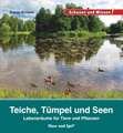 Teiche, Tümpel und Seen