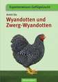 Wyandotten und Zwerg-Wyandotten