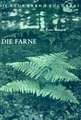 Die Farne