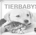 Tierbabys - Book To Go