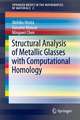 Structural Analysis of Metallic Glasses with Computational Homology