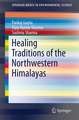 Healing Traditions of the Northwestern Himalayas