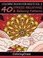 Coloring Books For Adults Volume 3