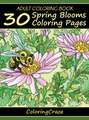 Adult Coloring Book