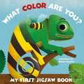 My First Jigsaw Book: What Color Are You?