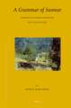 Languages of the Greater Himalayan Region, Volume 7 A Grammar of Sunwar: Descriptive Grammar, Paradigms, Texts and Glossary