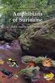 Amphibians of Suriname