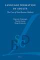 Language Formation by Adults: The Case of Sino-Russian Idiolects