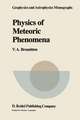 Physics of Meteoric Phenomena