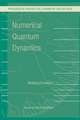 Numerical Quantum Dynamics