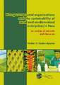 Non-governmental organizations and the sustainability of small and medium-sized enterprises in Peru: An analysis of networks and discourses