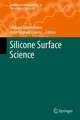 Silicone Surface Science