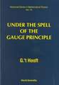 Under the Spell of the Gauge Principle