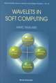 Wavelets in Soft Computing