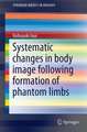 Systematic Changes in Body Image Following Formation of Phantom Limbs