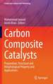 Carbon Composite Catalysts: Preparation, Structural and Morphological Property and Applications