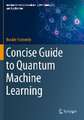 Concise Guide to Quantum Machine Learning