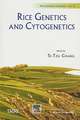 Rice Genetics and Cytogenetics: Proceedings of the Symposium