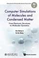 COMPUTER SIMULATIONS OF MOLECULES AND CONDENSED MATTER