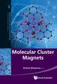 Molecular Cluster Magnets