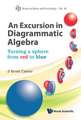 An Excursion in Diagrammatic Algebra