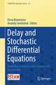 Delay and Stochastic Differential Equations