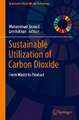 Sustainable Utilization of Carbon Dioxide: From Waste to Product