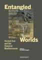 Entangled Worlds: Ancient Iran and the Classical Mediterranean