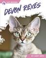 Devon Rexes