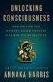 Unlocking Consciousness: How Solving the Mystery Could Provoke a Scientific Revolution