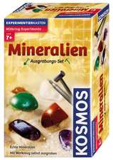 Ausgrabungsset Mineralien