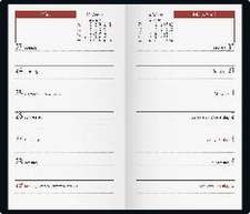 rido/idé 7012112905 Taschenkalender 2025 Modell TM 15