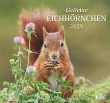 Geliebte Eichhörnchen 2025 - DUMONT Wandkalender - mit den wichtigsten Feiertagen - Format 38,0 x 35,5 cm