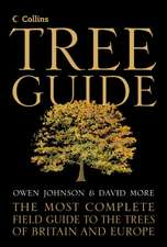 More, D: Collins Tree Guide