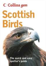 Scottish Birds