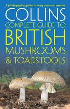 COM BRIT MUSHROOM TOADSTOOL PB