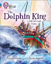 BIG CAT PROGRESS - DOLPHIN KIN