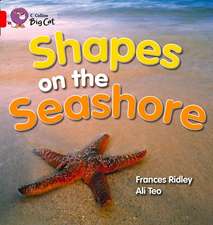 Shapes on the Seashore Workbook